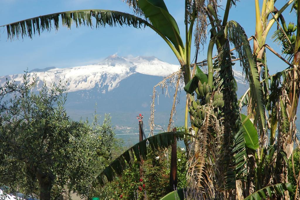 Séjour à la ferme Dell'etna